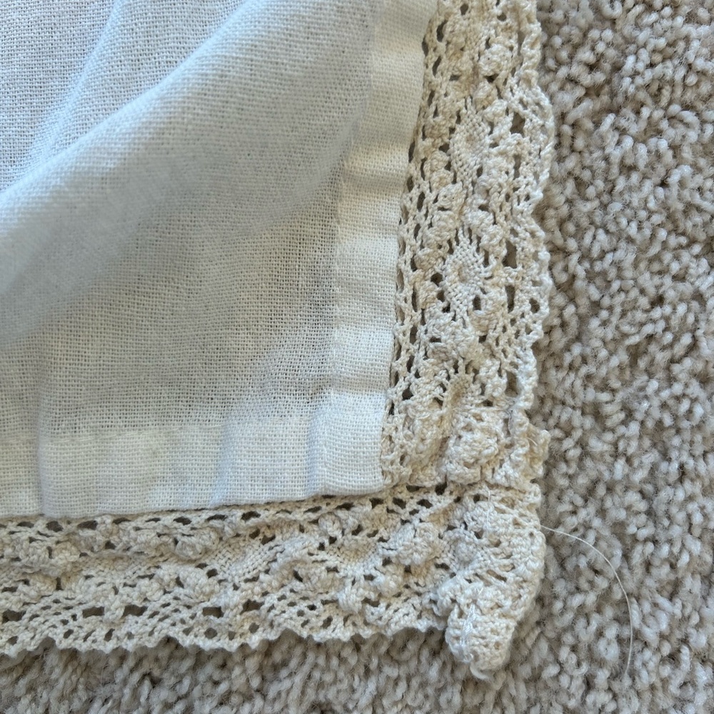 LUSH Decor Luxury Window Treatment Curtains Lace Detail 54"x 84" RN 12678
